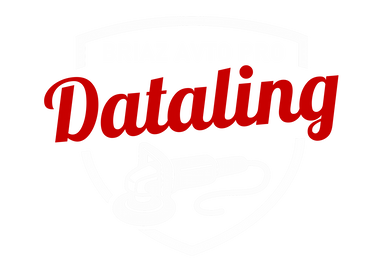 Briaz Auto Pro